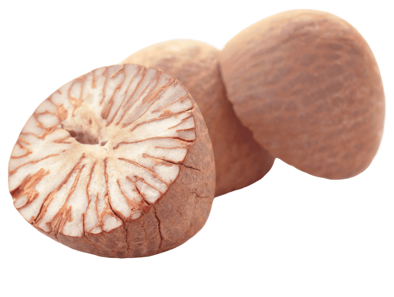 betelnut-transparent